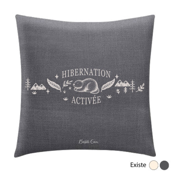 Coussin - Hibernation activée